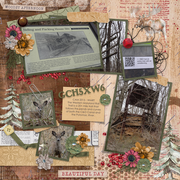 In The Rustic Woods with Pinned 1 Temp #2-Aimee