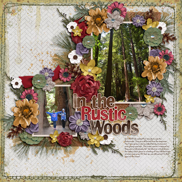 In-the-Rustic-Woods