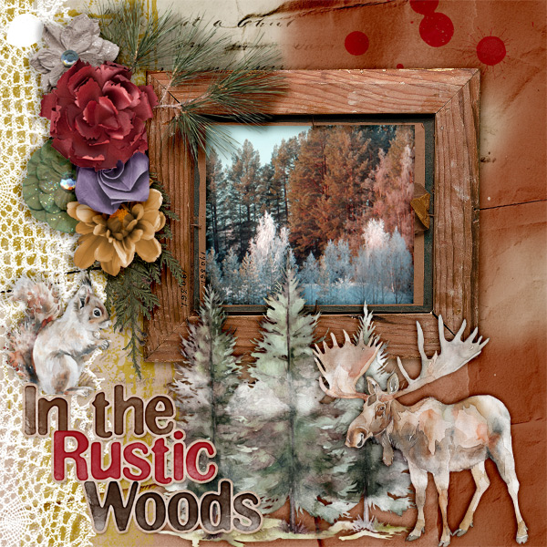 In-the-rustic-woods1