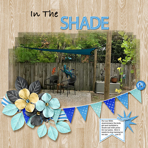 In The Shade