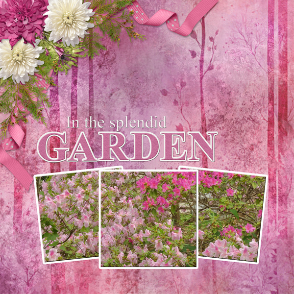 In the shimmering Garden