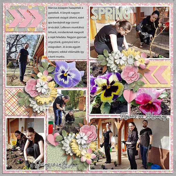 In the springtime