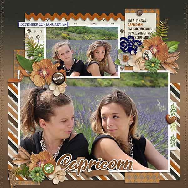 in-the-stars-capricorn