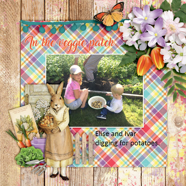 In-the-veggie-patch