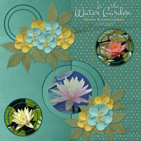 In the Water Garden