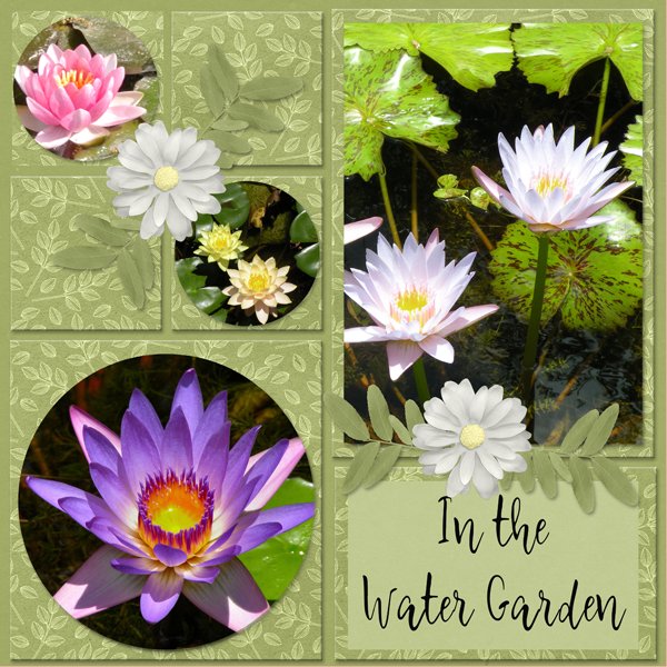 In the water garden