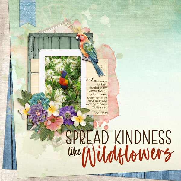In the wildflowers