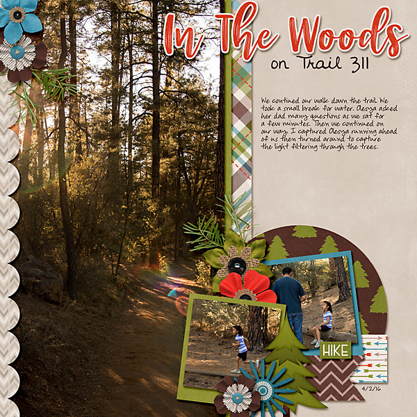 In The Woods on Trail 311