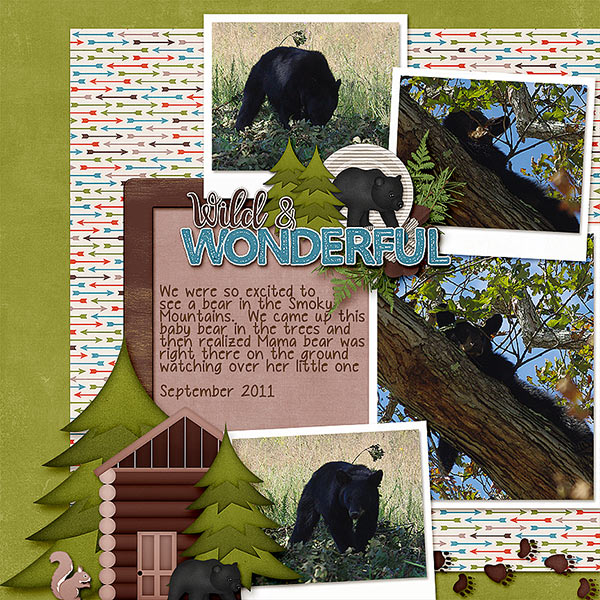 In The Woods