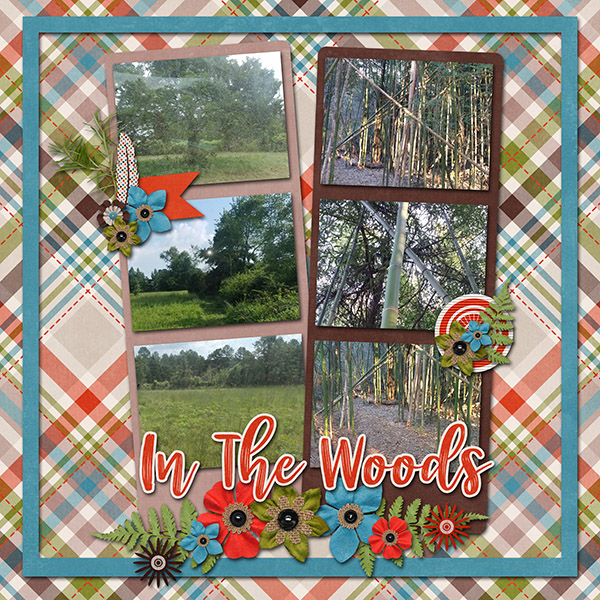 In the Woods