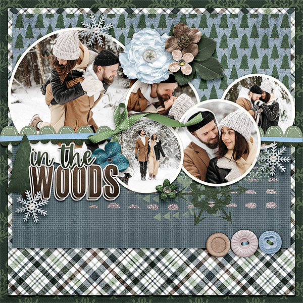 In the Woods