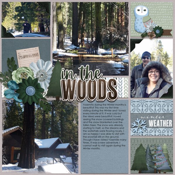 In The Woods