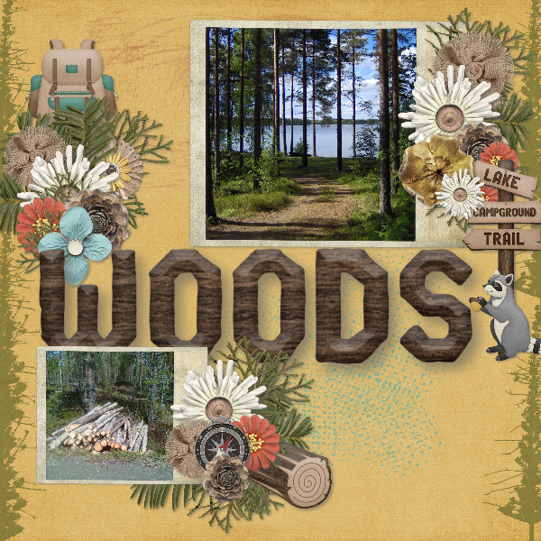 in the woods