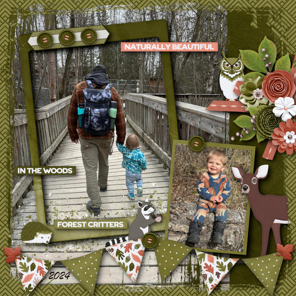 In The Woods