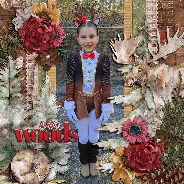 In the Woods