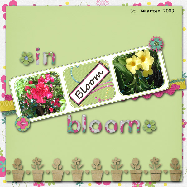 in_bloom