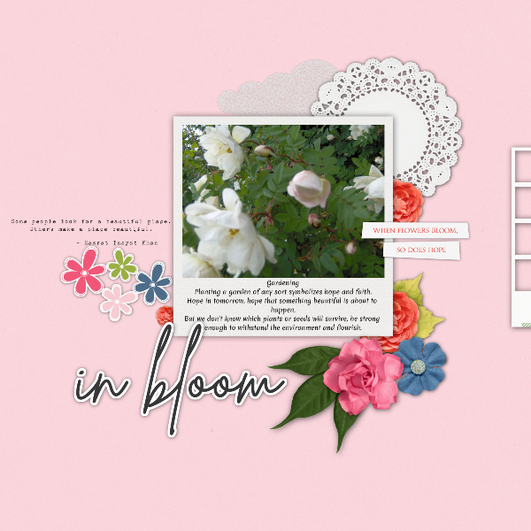 in_bloom6