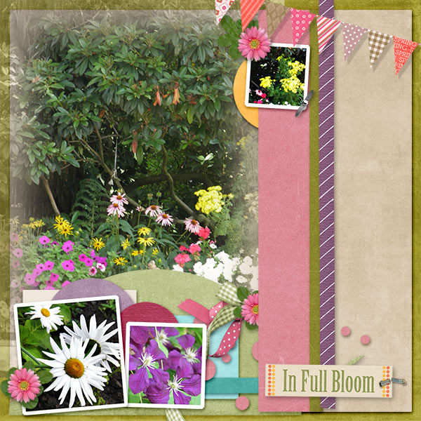 In_Full_Bloom1