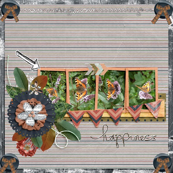 in_my_garden1