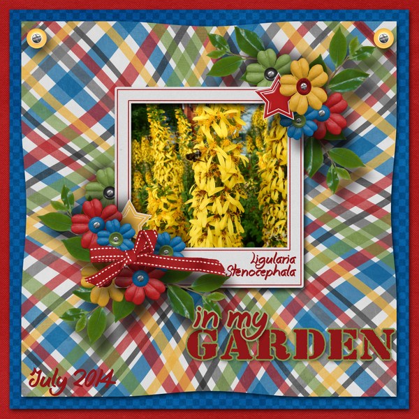 In_my_garden3