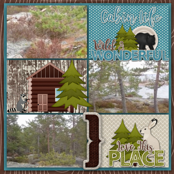 In_the_woods1