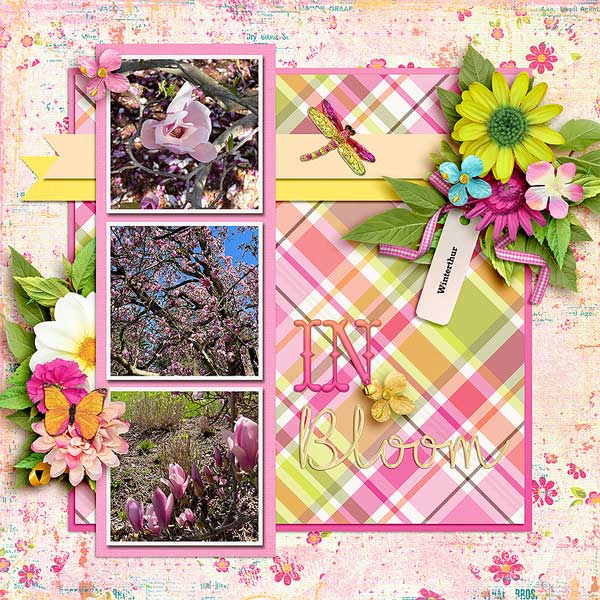 inbloom