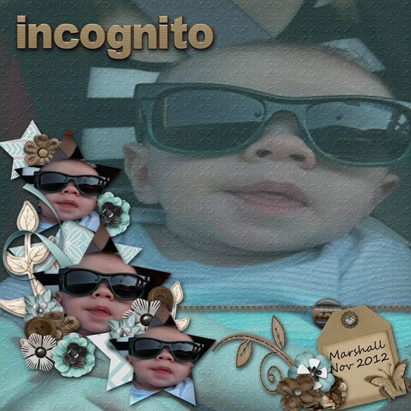 incognito
