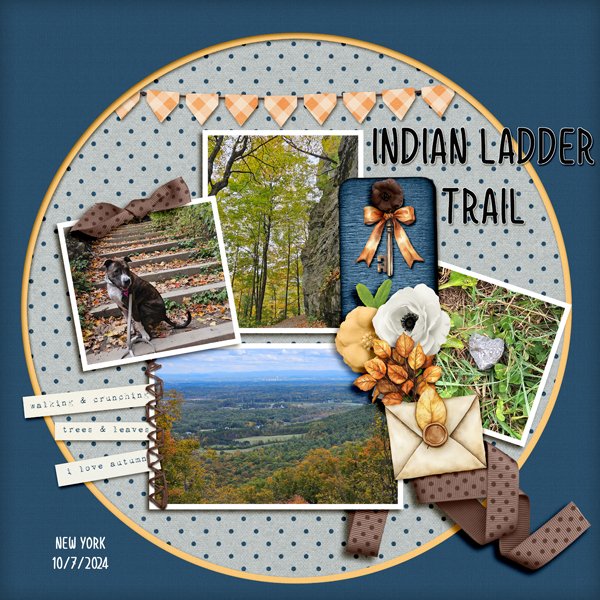 Indian-Ladder.jpg