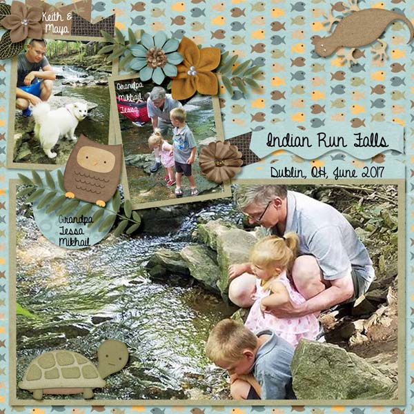 Indian Run Falls