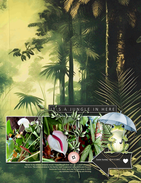 Indoor Jungle