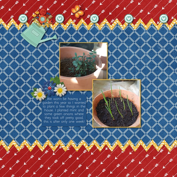 Indoor Planting