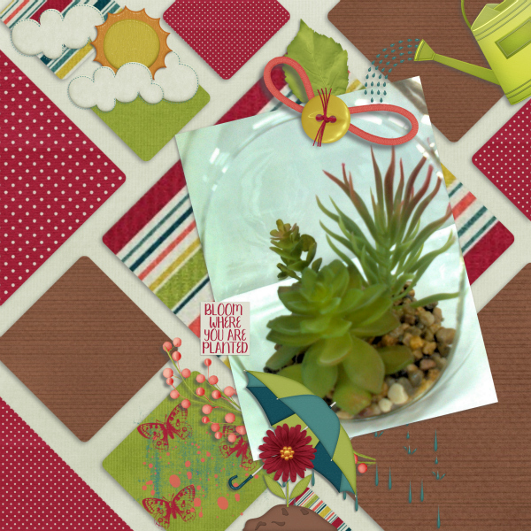 Indoor_gardening