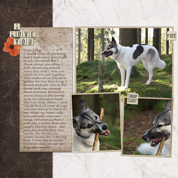 Inez - a beloved dog