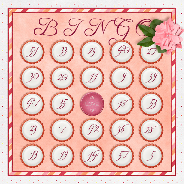 iNSD 2013 Bingo
