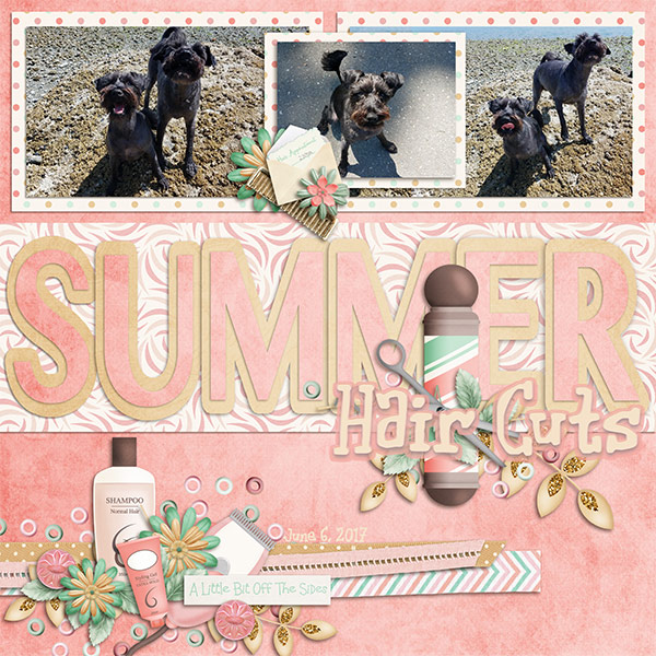 iNSD 2020 Sunny Summer