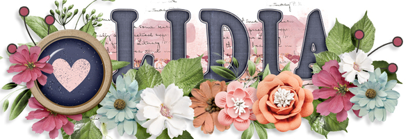 iNSD 2024 Signature challenge