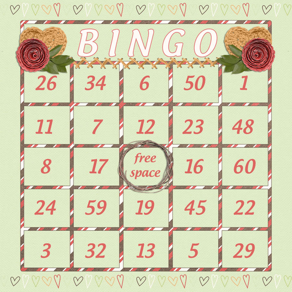 iNSD BINGO Card