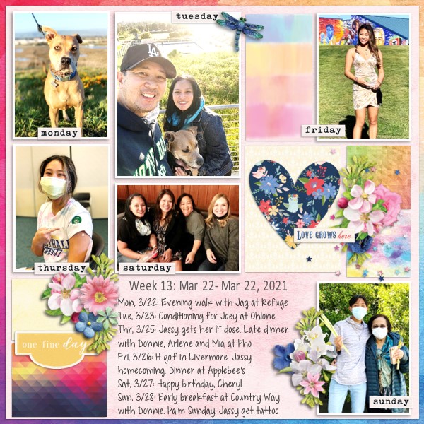 iNSD Mood Board Challenge