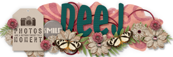 INSD Siggie