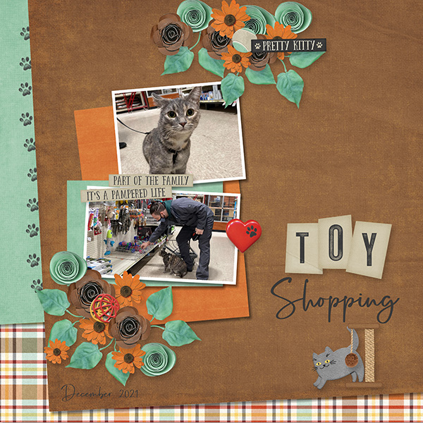 iNSD Template Challenge