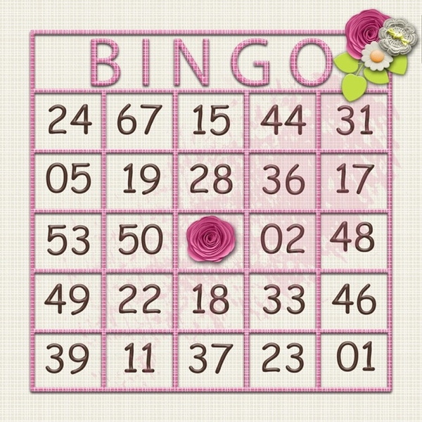 iNSD_Bingo