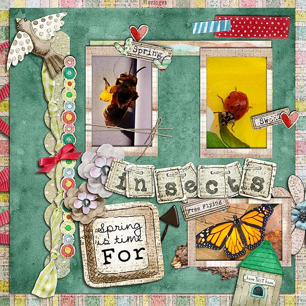 Insects