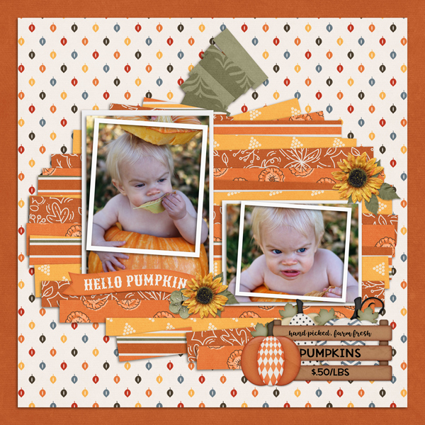 Inside a Pumpkin