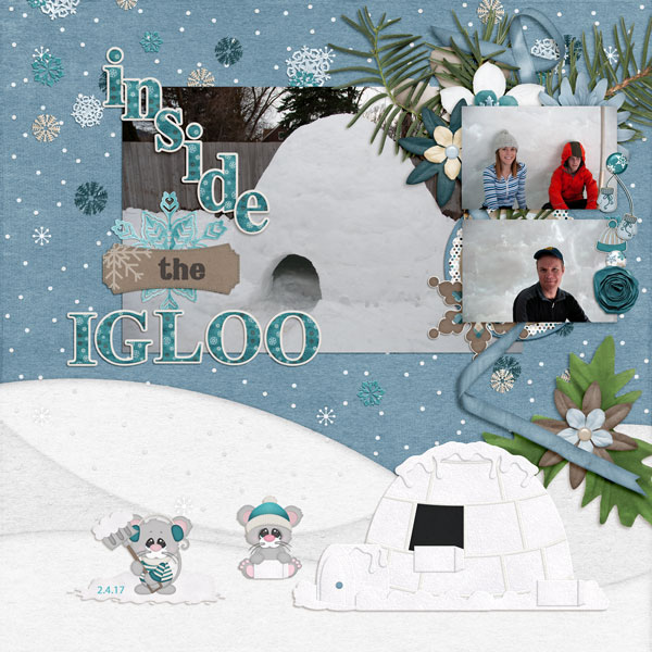 Inside the Igloo