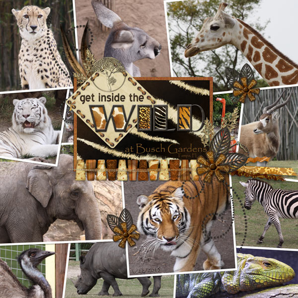 Inside The Wild