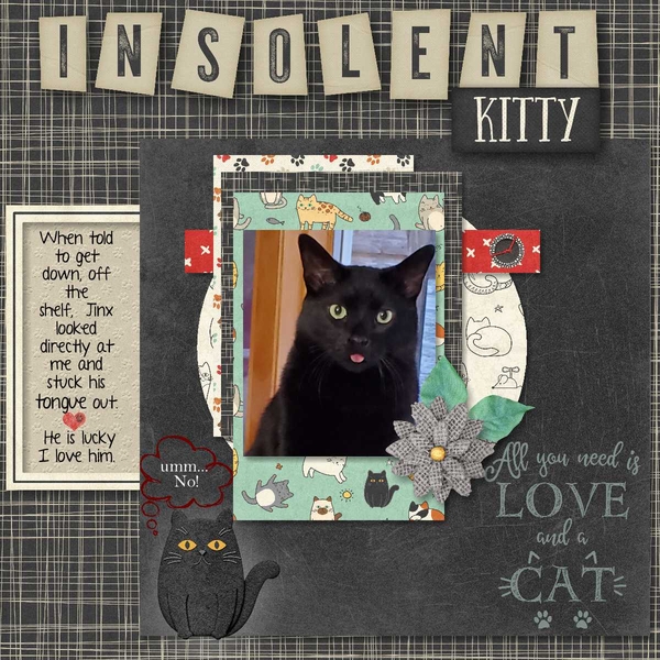 Insolent Kitty