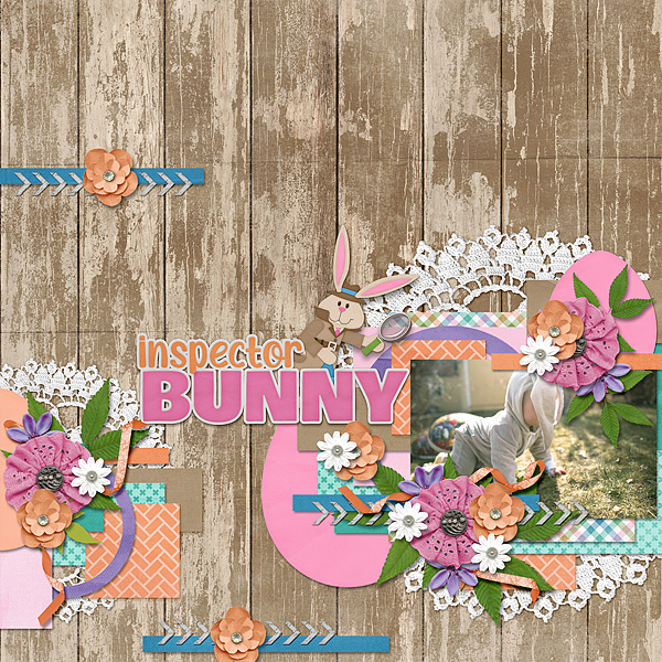 Inspector Bunny