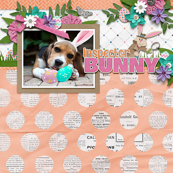 inspector bunny