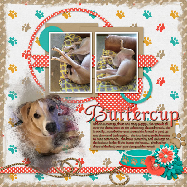 Inspiration: Buttercup