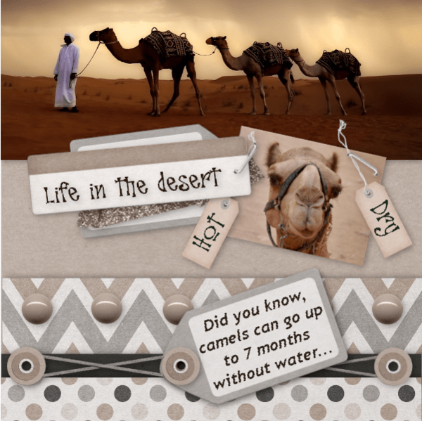Inspiration Challenge March2019